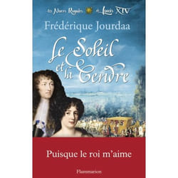 Flammarion Le Soleil et la Cendre livre Littérature Français