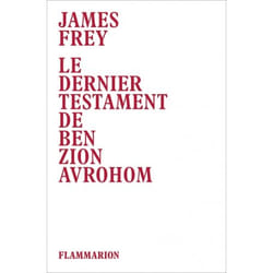 Flammarion Le Dernier Testament de Ben Zion Avrohom livre Littérature Français