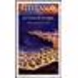 Flammarion Le Creux de la vague, Littérature, Français, Livre broché, 252 pages