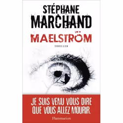 Flammarion Maelström, Littérature, Français, Livre broché, 348 pages