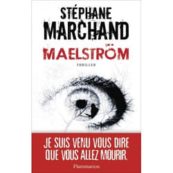 Flammarion Maelström livre Littérature Français