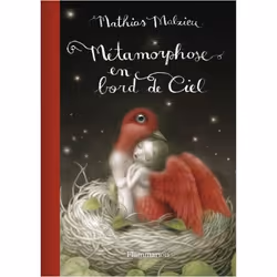 Flammarion Métamorphose en bord de ciel, Littérature, Français, Livre broché, 194 pages