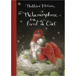 Flammarion Métamorphose en bord de ciel livre Littérature Français