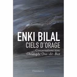 Flammarion Ciels d’orage, Littérature, Français, Livre broché, 272 pages