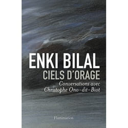 Flammarion Ciels d’orage livre Littérature Français