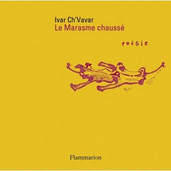 Flammarion Le Marasme chaussé livre poésie Français