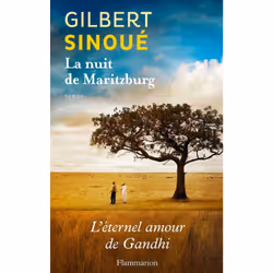 Flammarion LE NUIT DE MARITZBURG, Français, 450 pages