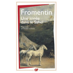 Flammarion Une année dans le Sahel livre Littérature Français