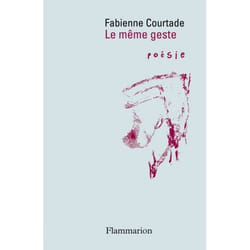 Flammarion Le Même Geste livre poésie Français
