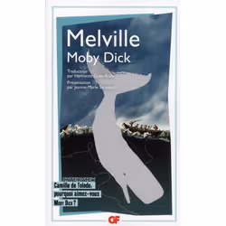 ISBN Moby Dick, Romance, Français, Livre broché