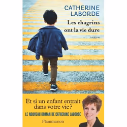 Flammarion Les chagrins ont la vie dure, Littérature, Français, Livre broché, 240 pages