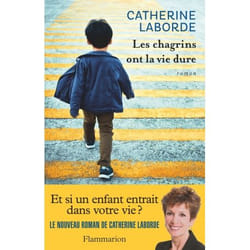 Flammarion Les chagrins ont la vie dure livre Littérature Français