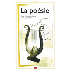Flammarion La Poésie livre Littérature Français