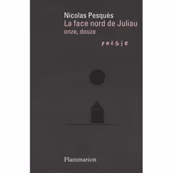 Flammarion La Face nord de Juliau, poésie, Français, Livre broché, 240 pages