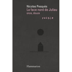 Flammarion La Face nord de Juliau livre poésie Français