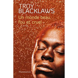Flammarion Un monde beau, fou et cruel livre Littérature Français
