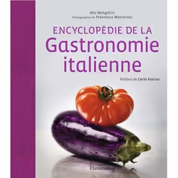 ISBN Encyclopédie de la gastronomie italienne, 468 pages