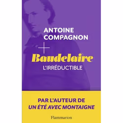 Flammarion Baudelaire, l’irréductible, Littérature, Français, Livre broché, 348 pages