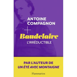 Flammarion Baudelaire, l’irréductible livre Littérature Français
