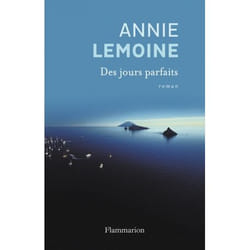 Flammarion Des jours parfaits livre Littérature Français