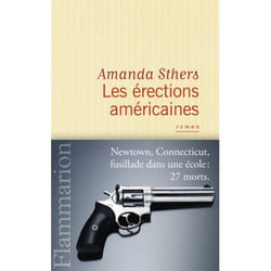 Flammarion Les Érections américaines livre Littérature Français
