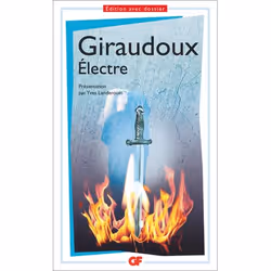 Flammarion Électre, fiction litéraire, Français, Livre broché, 244 pages