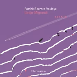 Flammarion Gadjo-Migrandt, poésie, Français, Livre broché, 384 pages