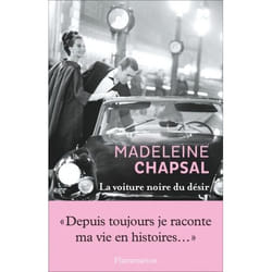 Flammarion La Voiture noire du désir livre Littérature Français