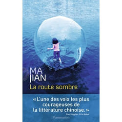 Flammarion La Route sombre livre Littérature Français