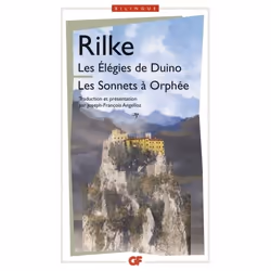Flammarion Les Élégies de Duino – Sonnets à Orphée, Littérature, Français, Livre broché, 318 pages