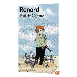 Flammarion Poil de carotte livre Littérature Français