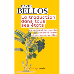 ISBN La traduction dans tous ses états ou Comment on inventa l'arbre à vodka et autres merveilles, 396 pages