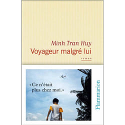 Flammarion VOYAGEUR MALGRÉ LUI livre