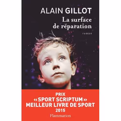 Flammarion Surface de réparation, Littérature, Français, Livre broché, 224 pages
