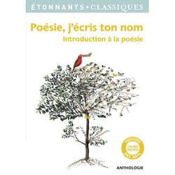 Poésie, j'écris ton nom
