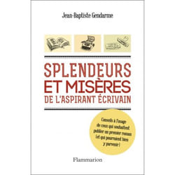 Flammarion Splendeurs et misères de l’aspirant écrivain livre Littérature Français