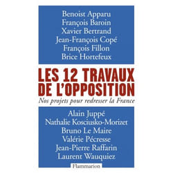 Les 12 travaux de l'opposition - Nos projets pour redresser la France (Broché)