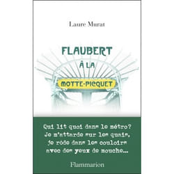 Flammarion Flaubert à la Motte-Picquet livre Littérature Français