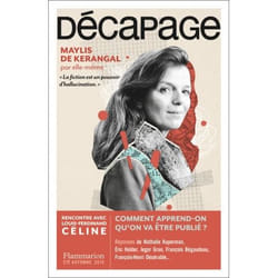 Flammarion Décapage livre Littérature Français