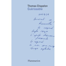 Flammarion Guérissable livre poésie Français