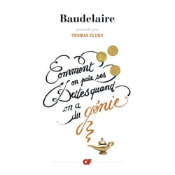 Flammarion Comment on paie ses dettes quand on a du génie livre Littérature Français