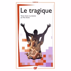 Flammarion Le Tragique, Littérature, Français, Livre broché, 256 pages