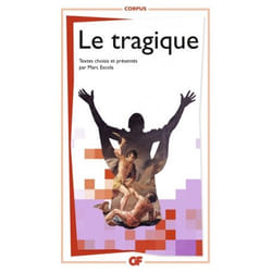 Flammarion Le Tragique livre Littérature Français