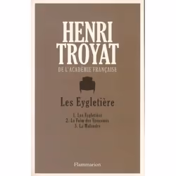 Flammarion Les Eygletière, Littérature, Français, Livre broché, 656 pages