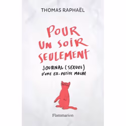 Flammarion Pour un soir seulement, Littérature, Français, Livre broché, 416 pages