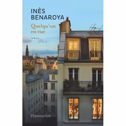 Flammarion Quelqu'un en vue, Littérature, Français, Livre broché, 320 pages
