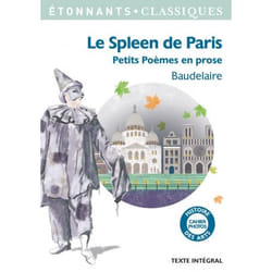 Le Spleen de Paris