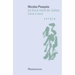 Flammarion La face nord de Juliau, poésie, Français, Livre broché, 256 pages