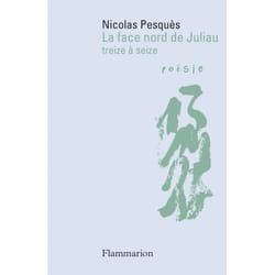 Flammarion La face nord de Juliau livre poésie Français