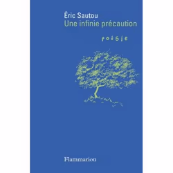Flammarion Une infinie précaution, poésie, Français, Livre broché, 144 pages